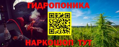 бошки Тара