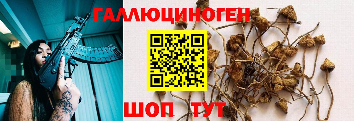 Псилоцибиновые грибы мухоморы Алатырь